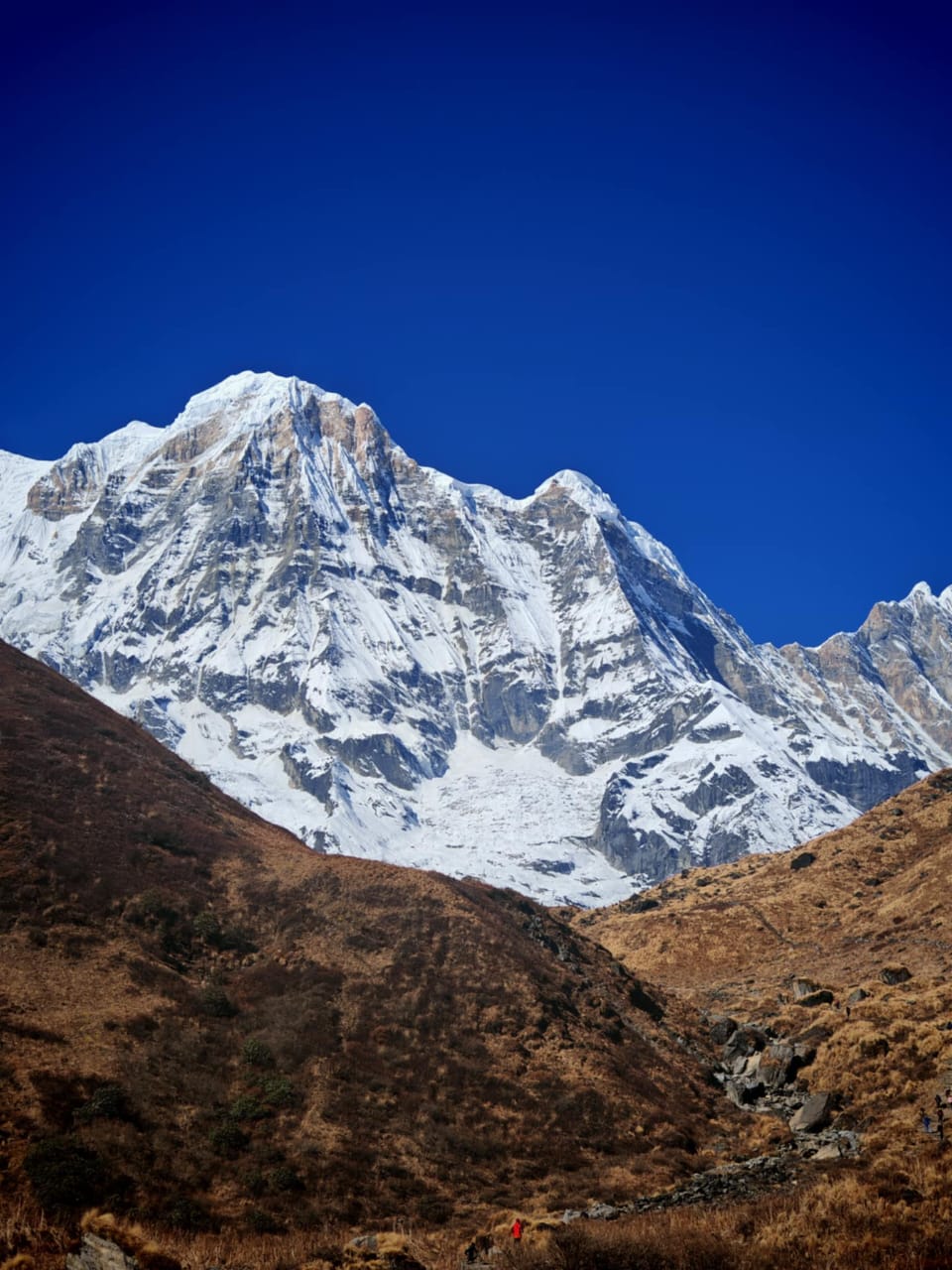 Snow-capped Annapurna South peak under clear blue sky on Annapurna Base Camp trek, Nepal