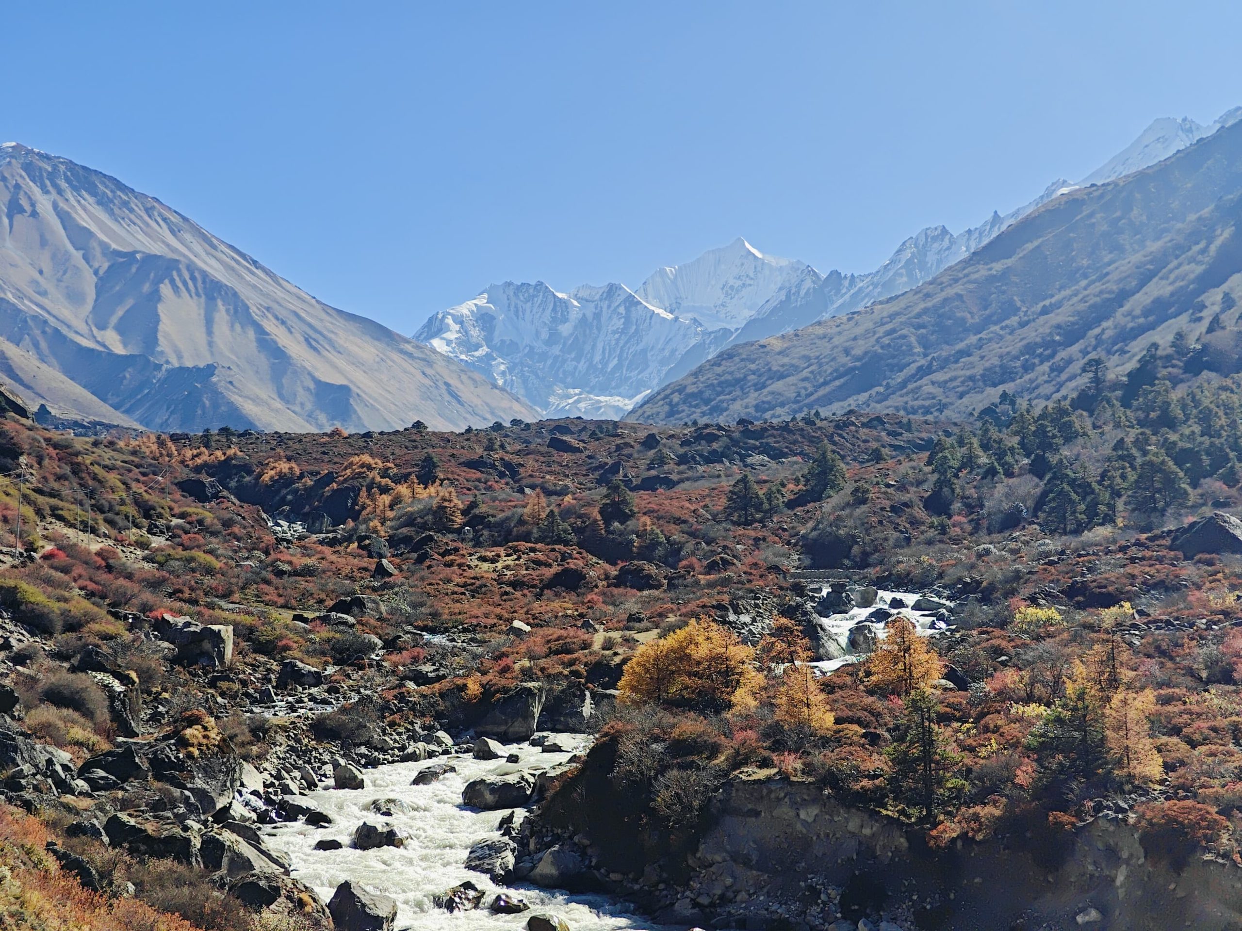 LANGTANG REGION