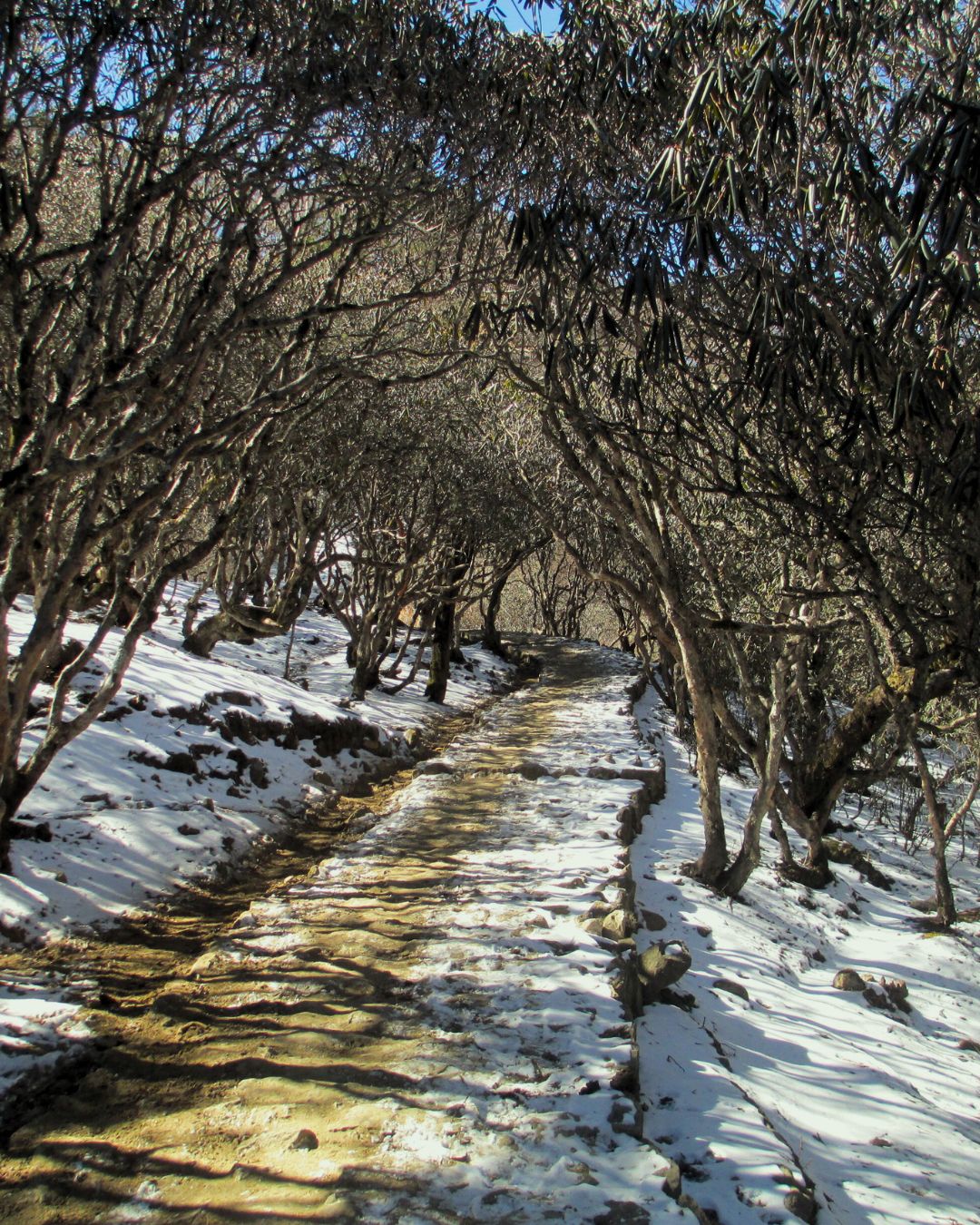 EVERST BASE CAMP TREK- 14 DAYS COST & ITINERARY