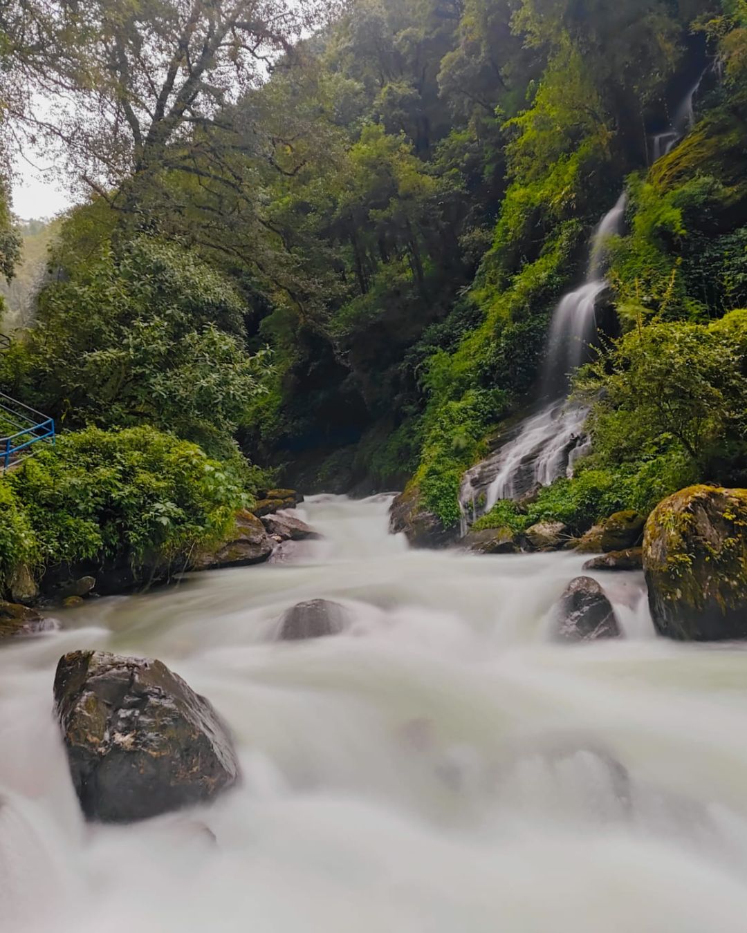 Langtang and Gosaikunda Trek