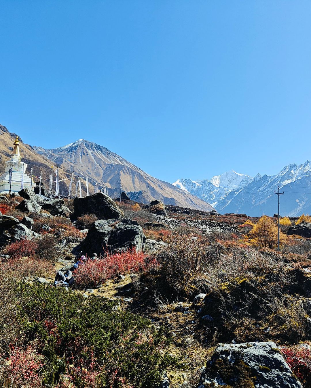 Langtang and Gosaikunda Trek