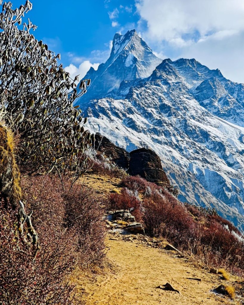 Mardi Himal Trek (5 Days) | Best Short Trek from Pokhara 16 a mountain with snow and blue sky