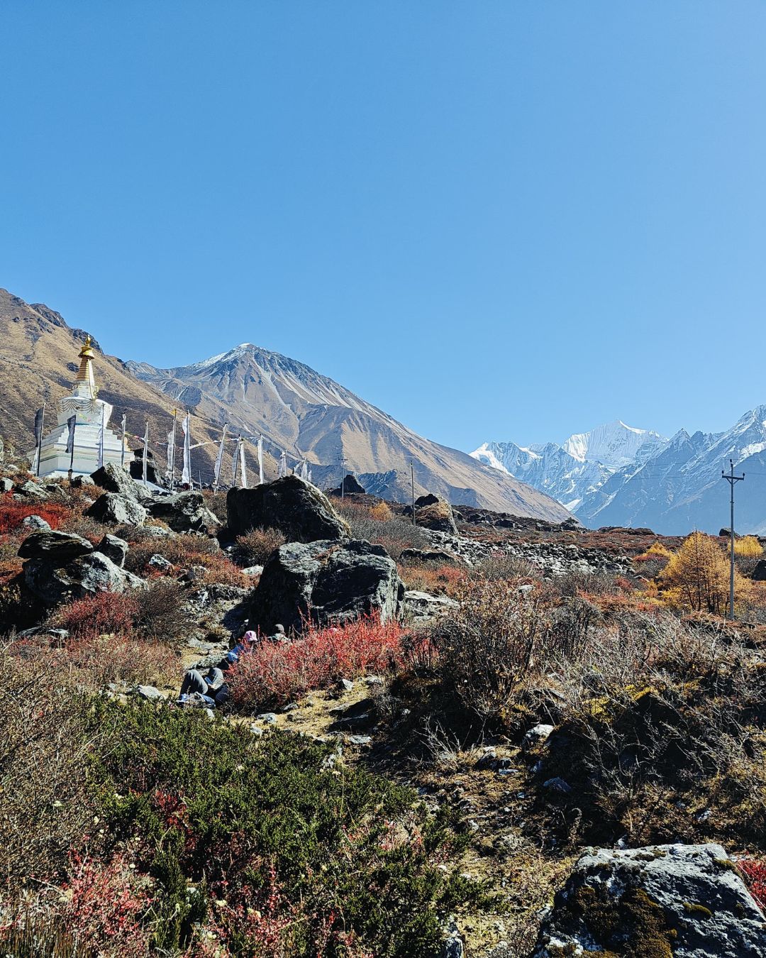 Langtang and Gosaikunda Trek