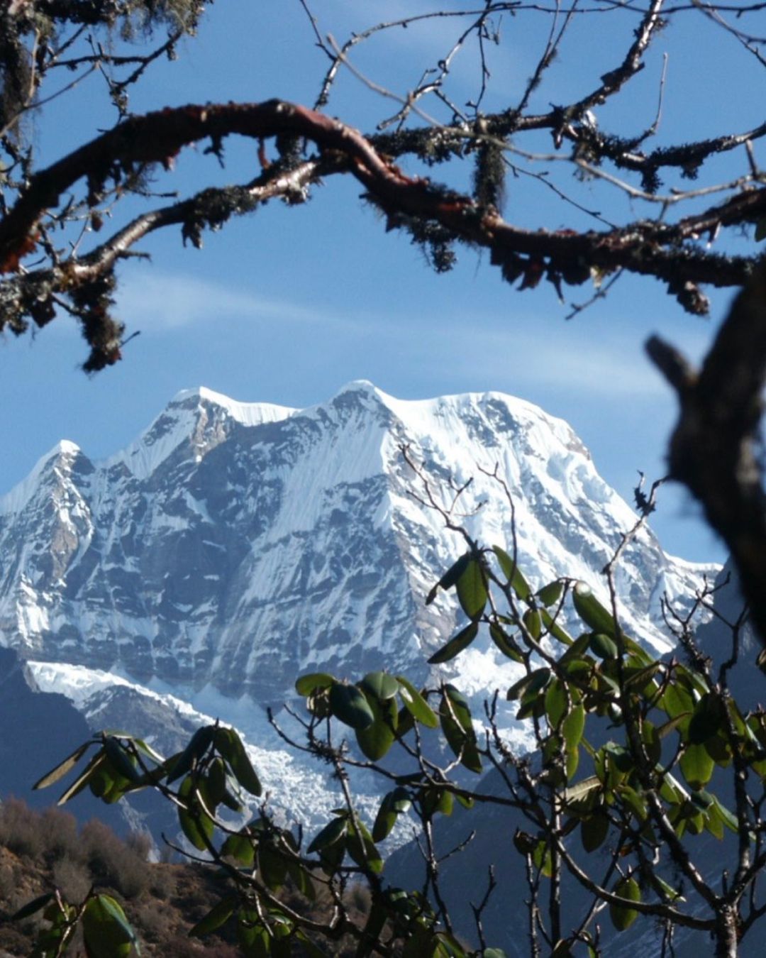 Mera Peak mountain view framed by Himalayan forest