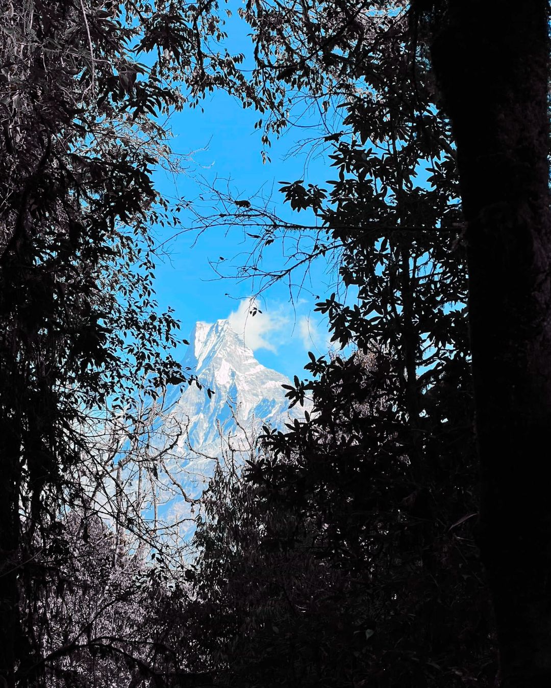 Rugged ridge with prayer flags, Khopra Ridge Trek