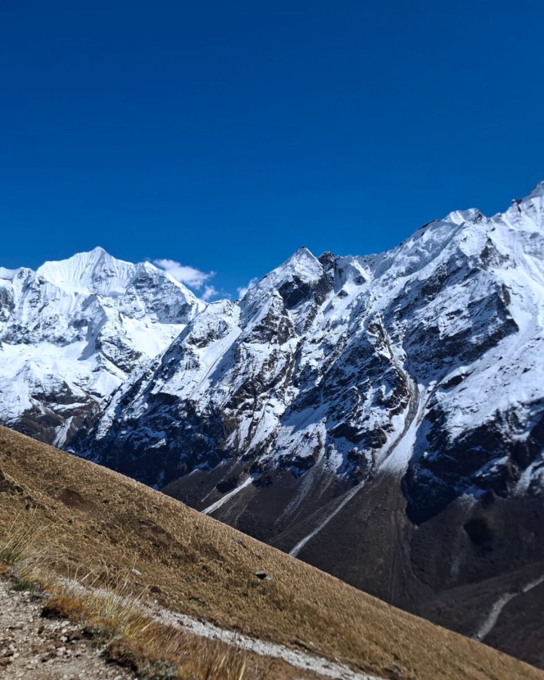 Summit panorama with Langtang Lirung