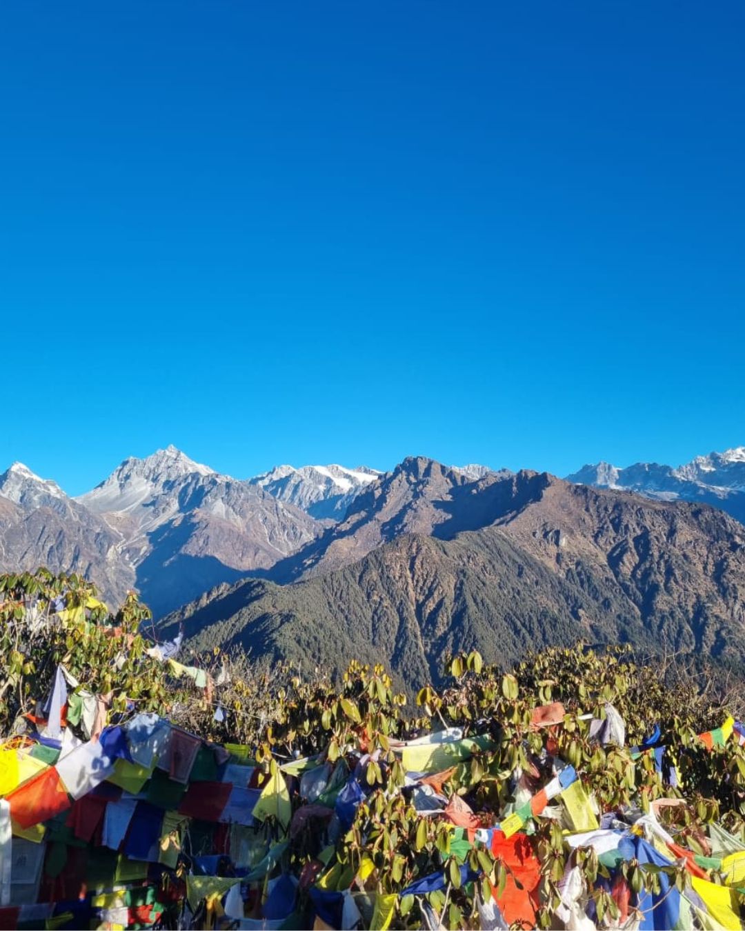 Prayer flags at Ama Yangri summit in Helambu region