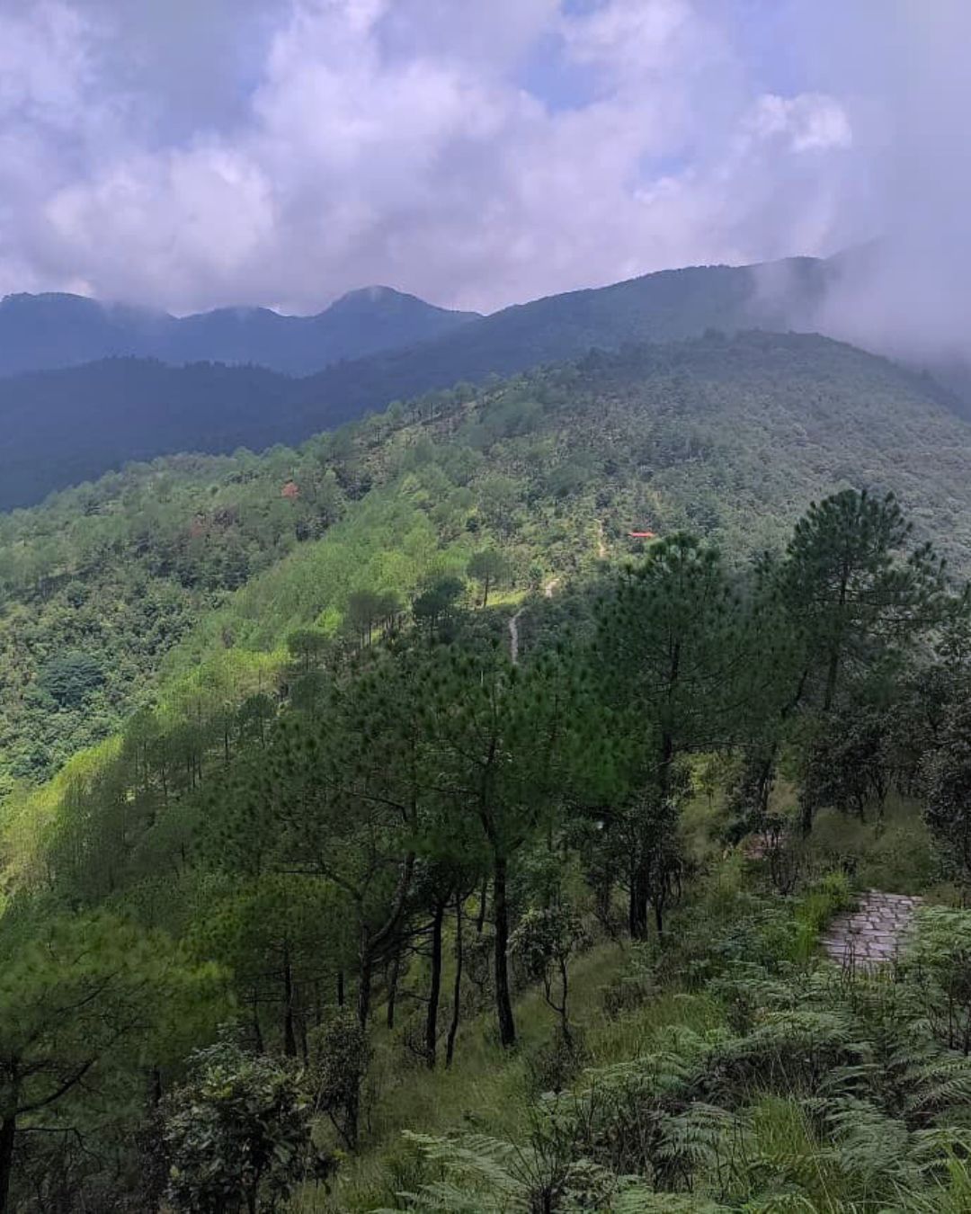 Champadevi Hiking experience near Kathmandu