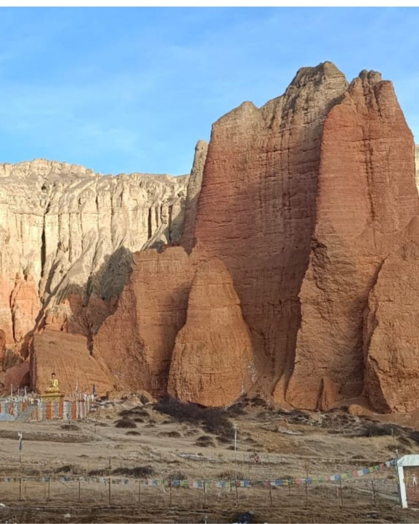 Muddy Upper Mustang