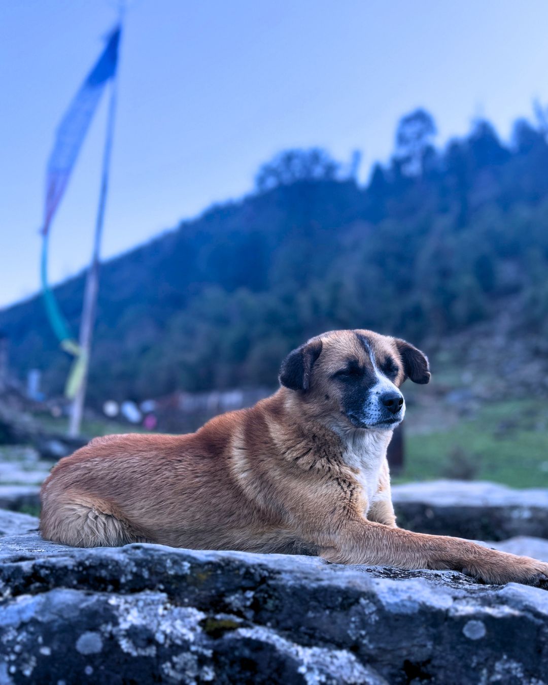 Panchpokhari Trek – 5 days Journey to the Five Sacred Lakes