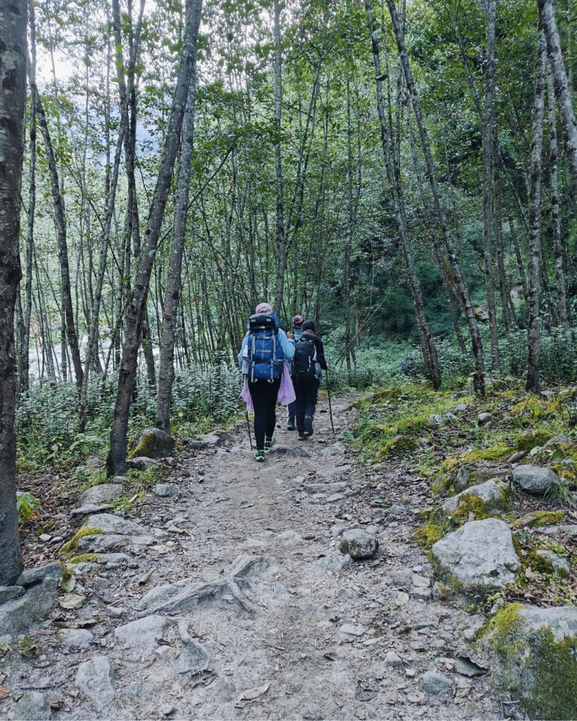 Langtang Valley Trek Packing List 2026: Ultimate Guide for First-Timers 3 Easy Packing Easy Walking