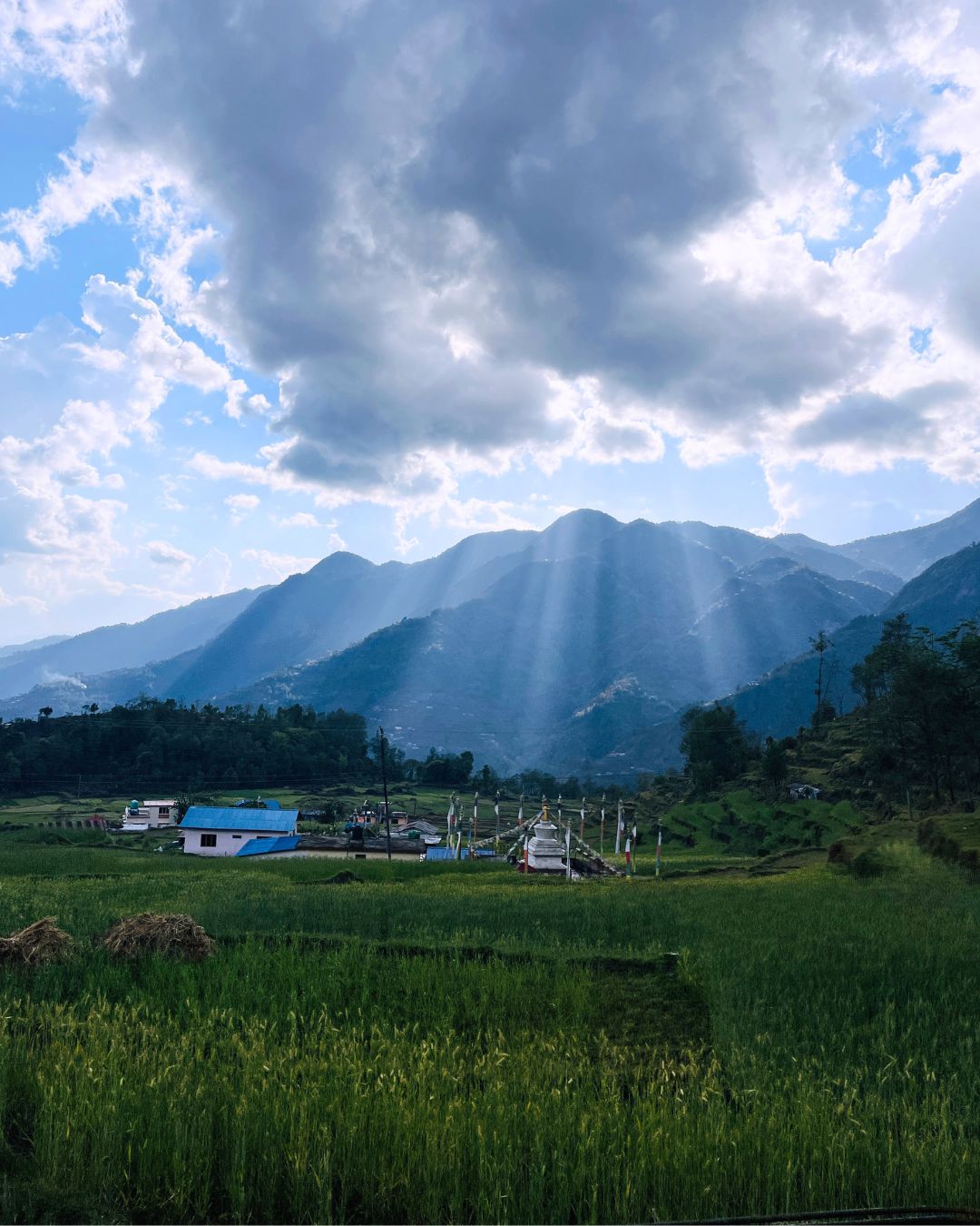 Panchpokhari Trek – 5 days Journey to the Five Sacred Lakes