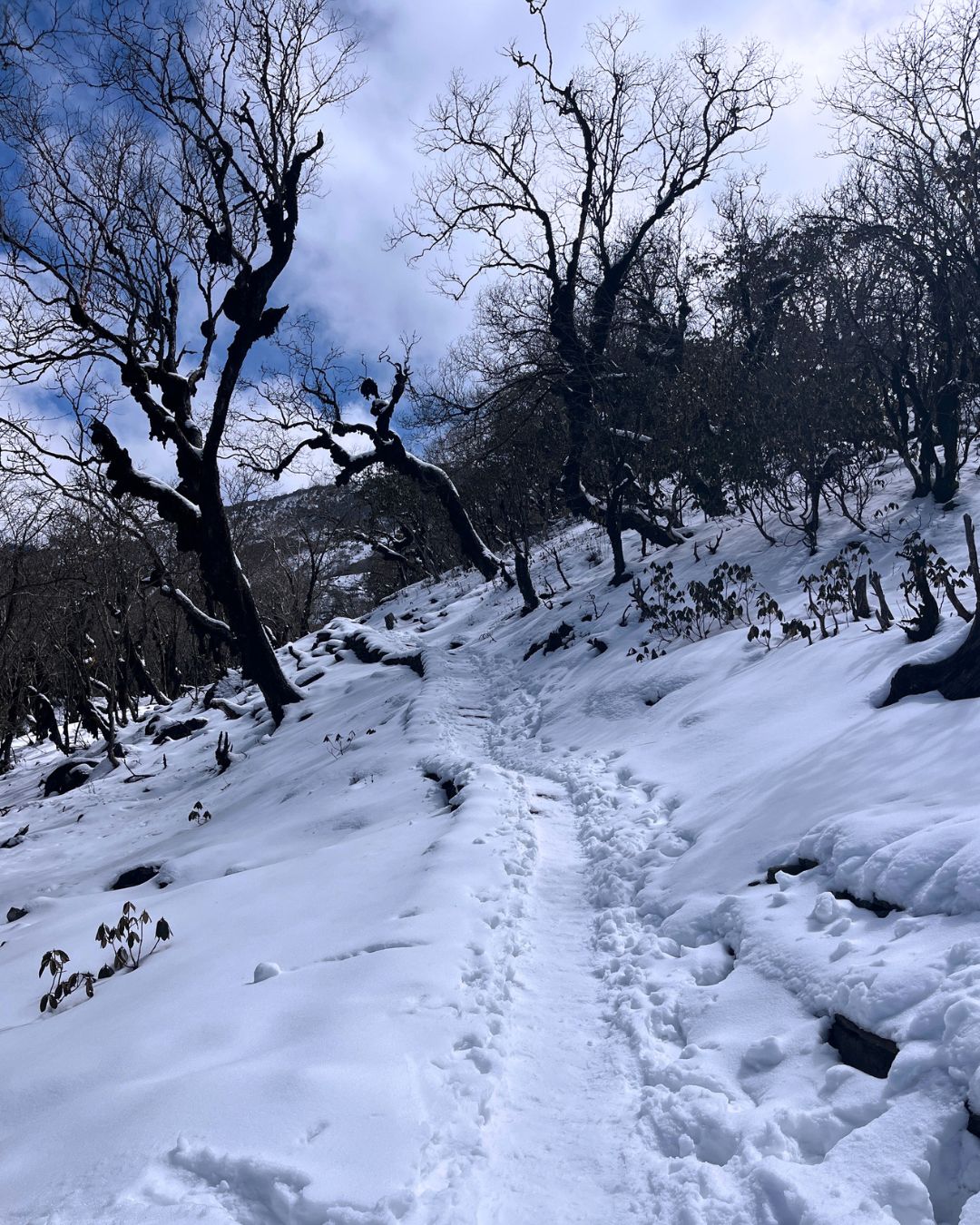 Snowy trail at Panchpokhari Trek