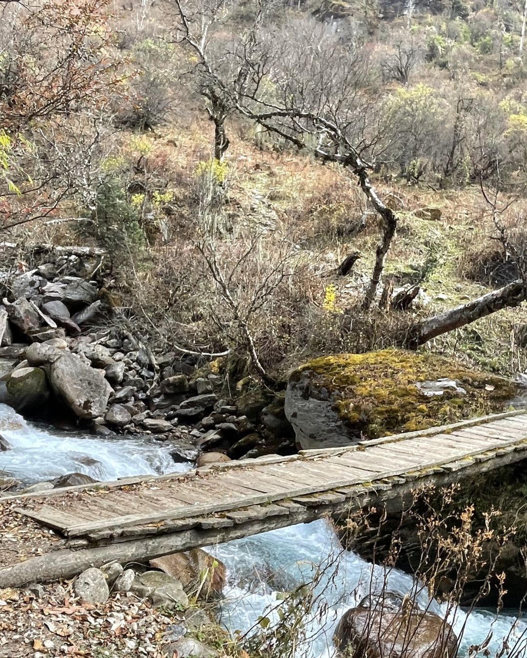 Wooden bridge on the Api Himal Base Camp trekking trail